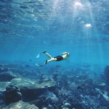 Balade en Bateau et Snorkeling au Cap Cerbère — balade en bateau à Cerbère