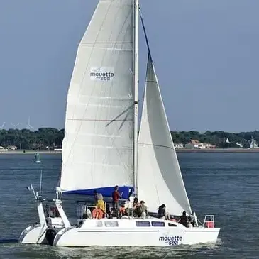 Balade en Catamaran à Noirmoutier — balade en bateau à L'Épine