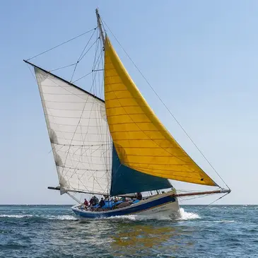 Balade en voilier traditionnel à Arzon - Ile de Houat, Hoëdic ou Belle-Île — balade en bateau à Arzon