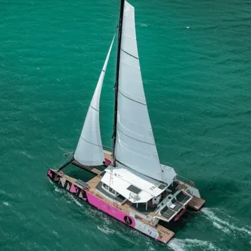 Boat Party en Catamaran dans le Golfe du Morbihan — balade en bateau à Baden