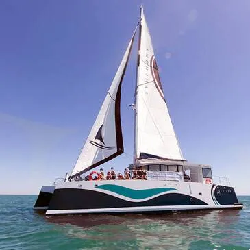 Sortie en Catamaran à l'Ile de Ré — balade en bateau à Saint-Martin-de-Ré