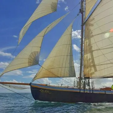 Sortie en Voilier Historique - Golfe du Morbihan et Île d'Houat — balade en bateau à Arradon